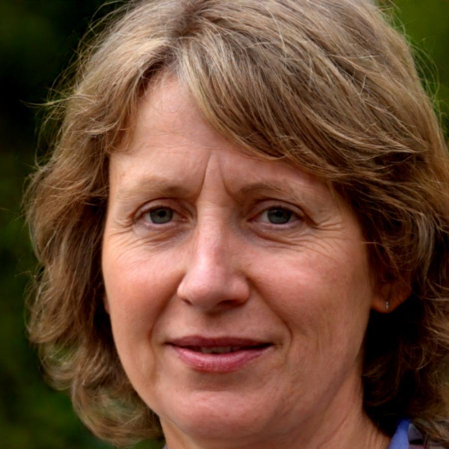 Directora de formación supervisando programa de colaboradores